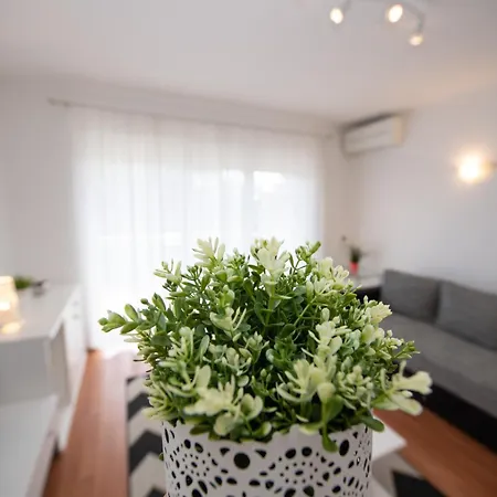 Paola Case de vacanță *