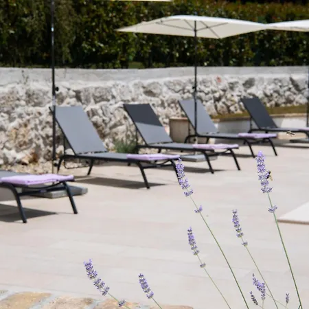 Paola Case de vacanță