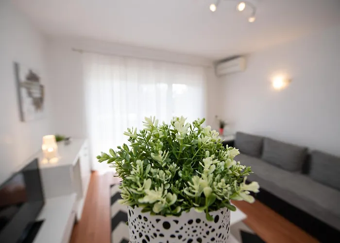 Paola Casa de Férias *